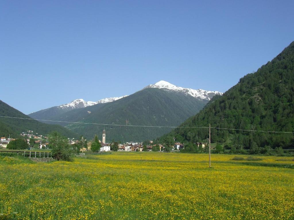 Residence Ca' Delle Margherite Pellizzano Esterno foto